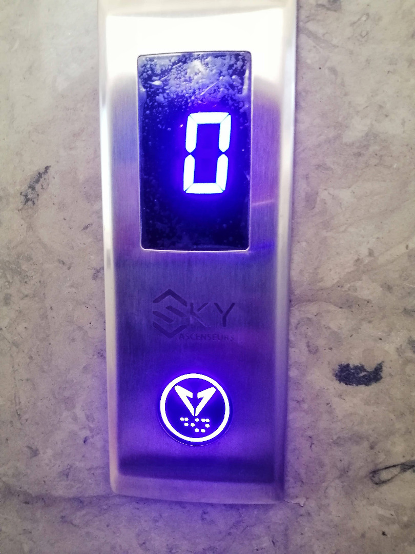 54462789_812807539082419_3318828805665062912_n.jpg