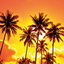 images 2