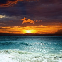 images 3