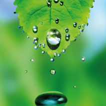 images 5